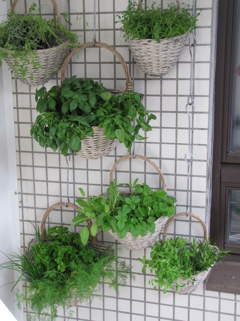 Vertical Herb Wall